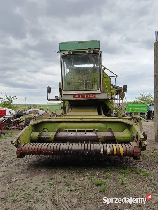 Kombajn Claas mercator 50 Tomaszów Lubelski