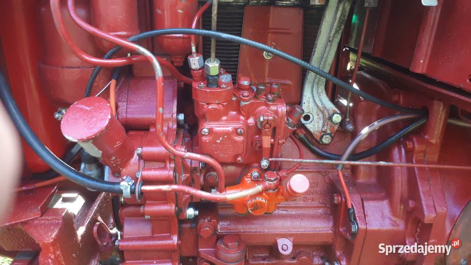 Wladimirec T25 Pysznica