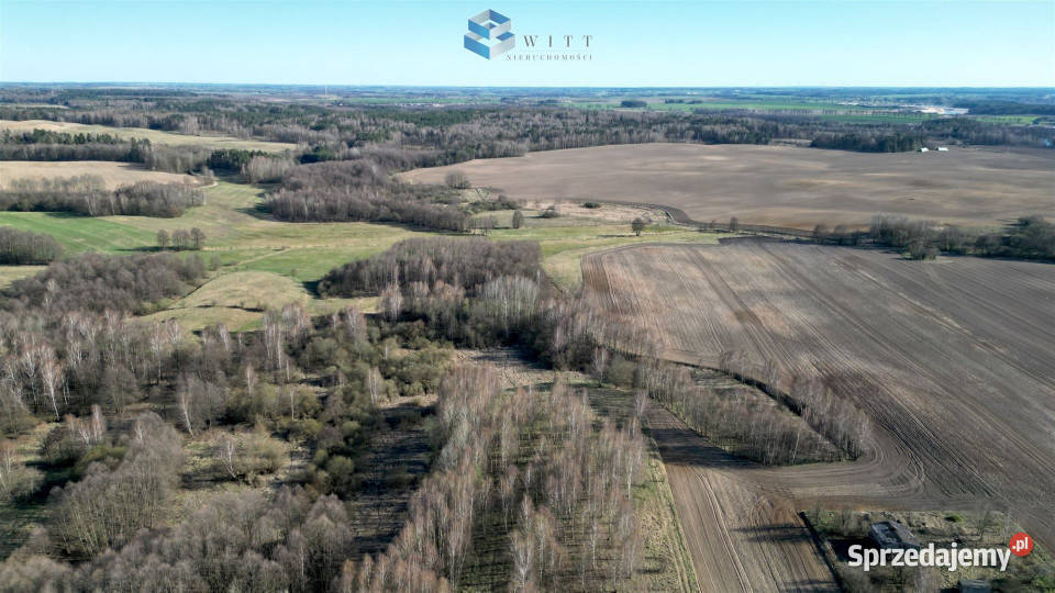 Działka 3006m2 Ostrowite 3006m2