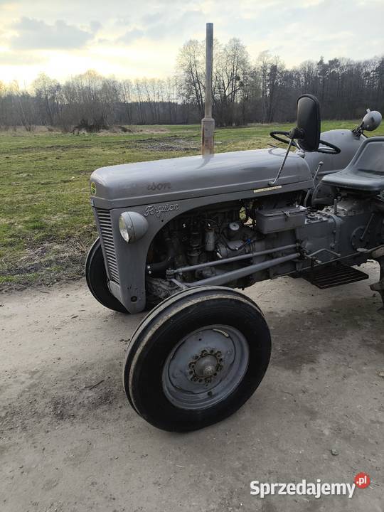 Ciągnik rolniczy Ferguson tea 20 tea20 traktor mazowieckie Pułtusk