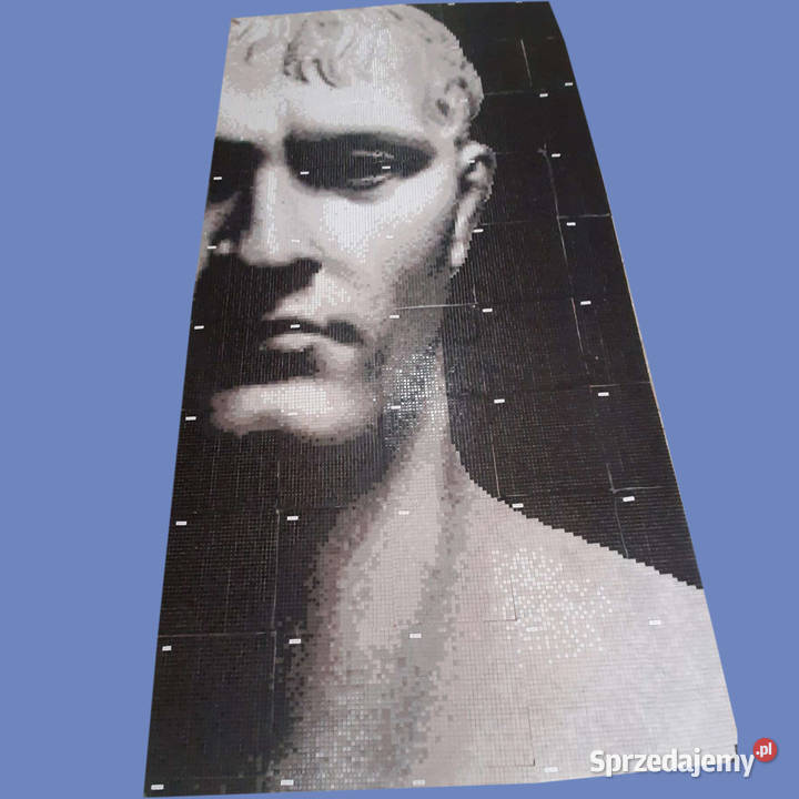 Mozaika szklana obraz Bonaparte 1460 x 2900 Warszawa