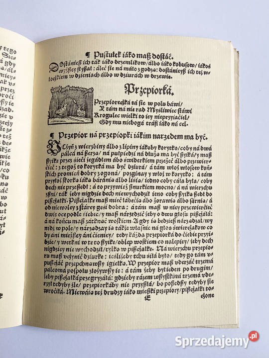 Myslistwo ptasze Reprint z 1584 r Cyganski Warszawa