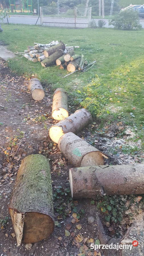 Sprzedam drewno opałowe Tarnów