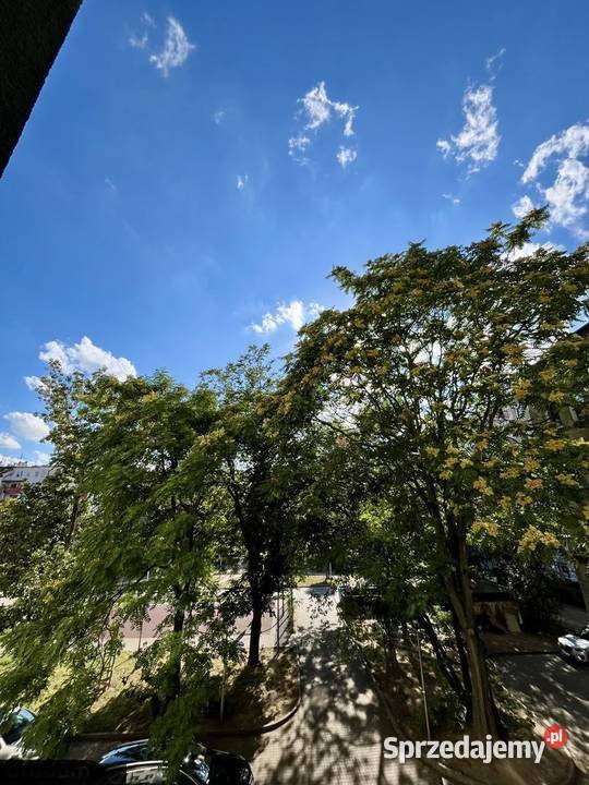 3pok 80met Kościuszki Wrocław