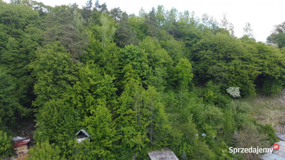 Dom na działce 15 rynku w Kazimierzu Dolnym 10000zł/m2 Kazimierz Dolny