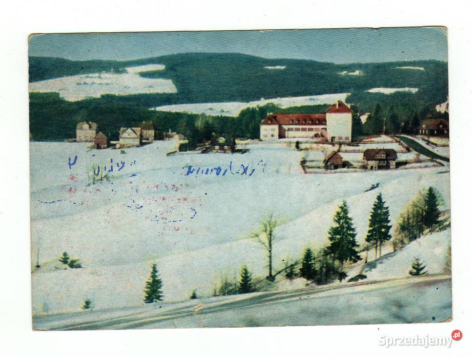 ISTEBNA WIDOK OGÓLNY Krynki sprzedam