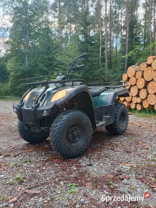 Quad Jianshe 250cc bagażnik Pozostałe Żołynia