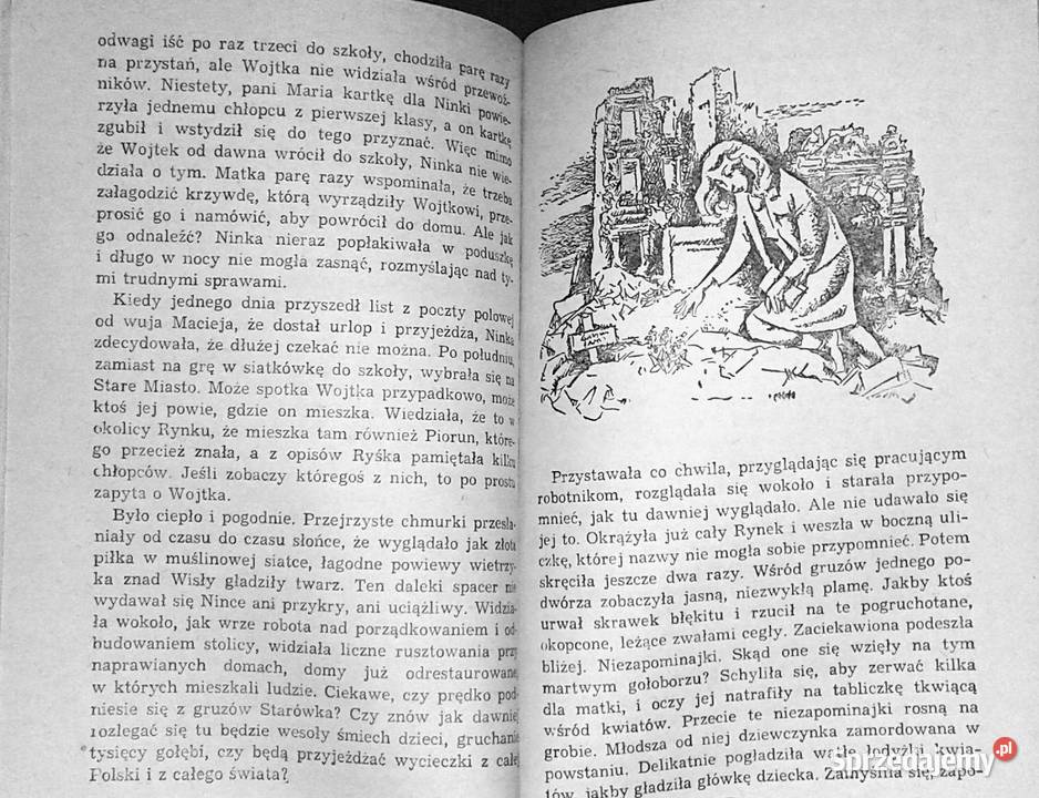 Chłopcy ze Starówki Halina Rudnicka Pozostałe Chełm