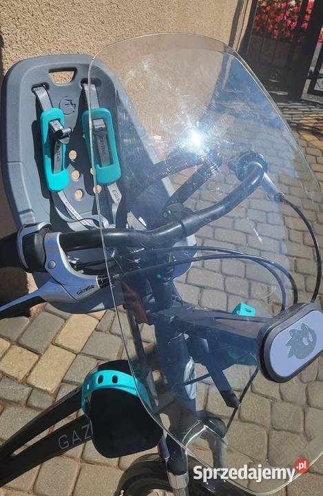 Thule Yepp Mini przedni fotelik rowerowy dziecko Gogolin