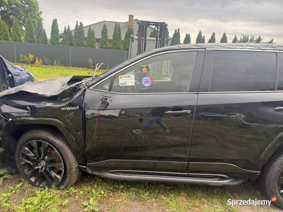 Toyota RAV4 25 Hybrid Executive 4x2