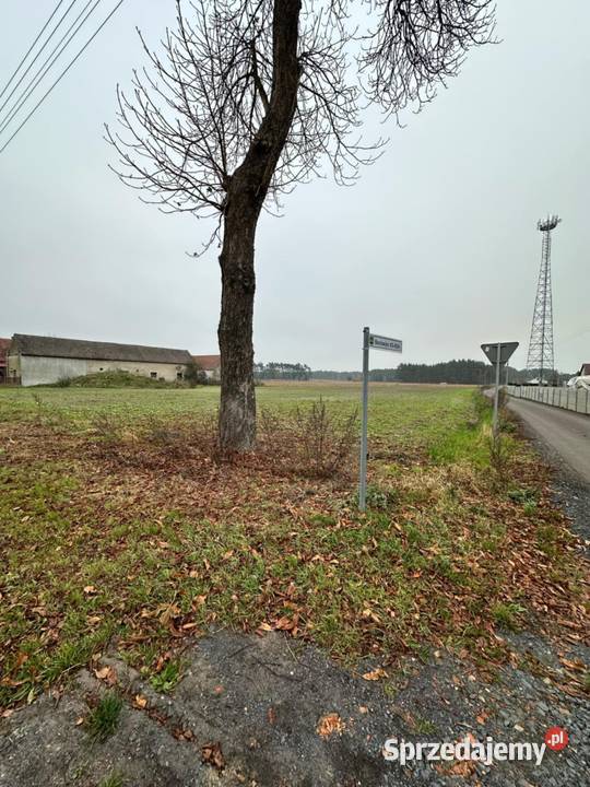 Działki budowlane w gminie Siedlisko miejscowość lubuskie Nowa Sól