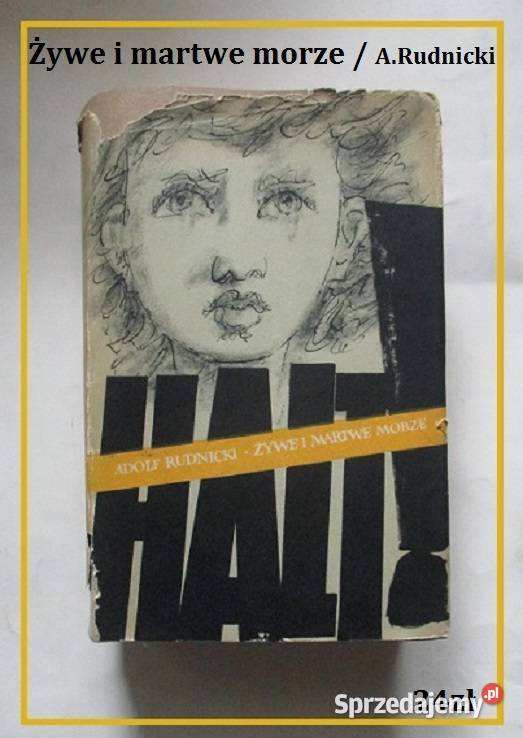 Raz w roku w Skiroławkach Nienacki literatura Proza i poezja Proza i poezja Łódź