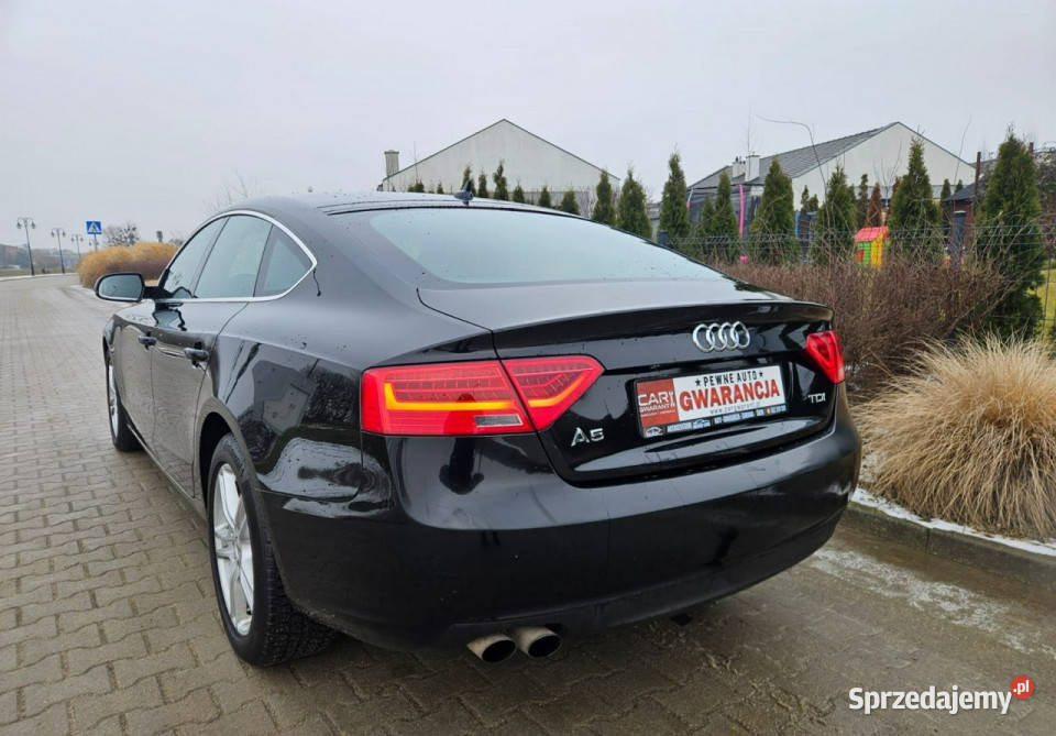 Audi A5 Sportback 1213r 177 Navi Zadbany Rata800 Śrem