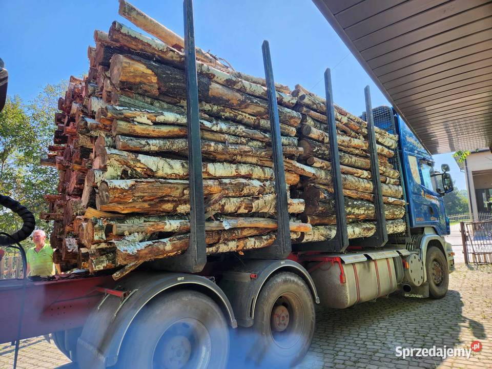 Drzewo drewno opałowe kominkowe rozpałkowe Koziegłowy sprzedam