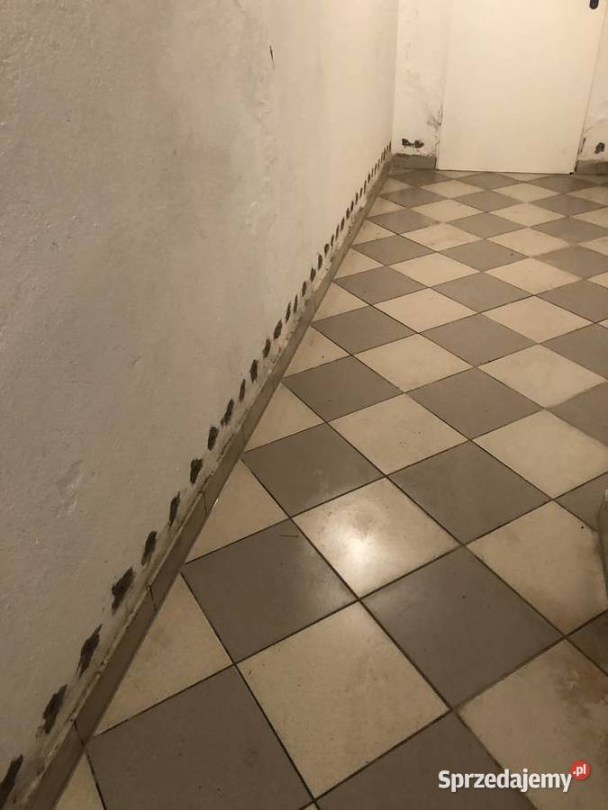 Poznań Wielkopolska Piła Człuchów Chojnice