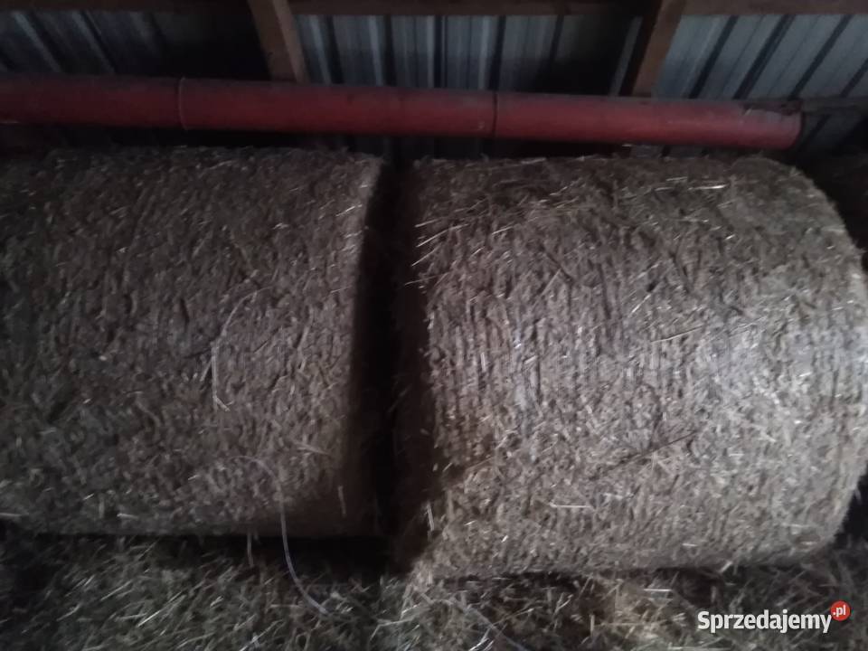 Słoma sucha kujawsko-pomorskie Lubanie