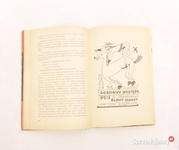 książka Niewiarygodne Przygody Marka Piegusa E Pozostałe Gdańsk sprzedam