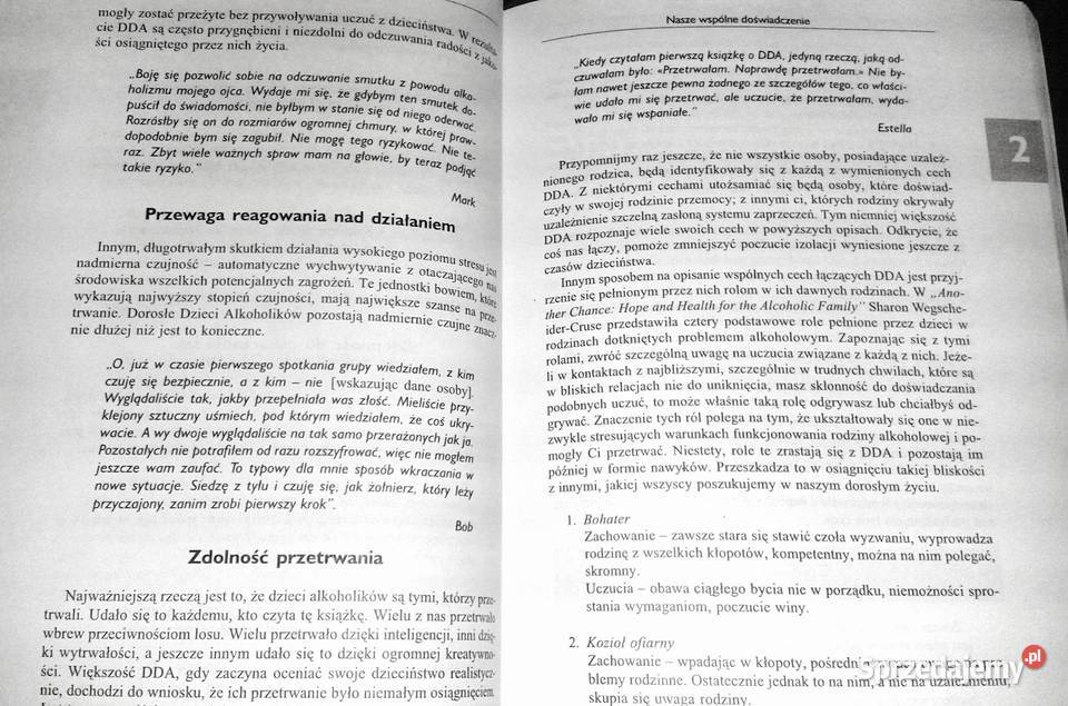 Czas uzdrowić swoje życie Timmen L Cermak Kultura i Rozrywka Chełm