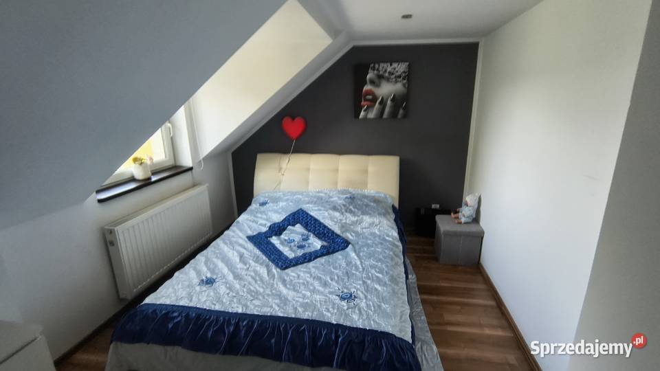 Dom w Dominowie stawami Liczba pokoi 4 Dominów