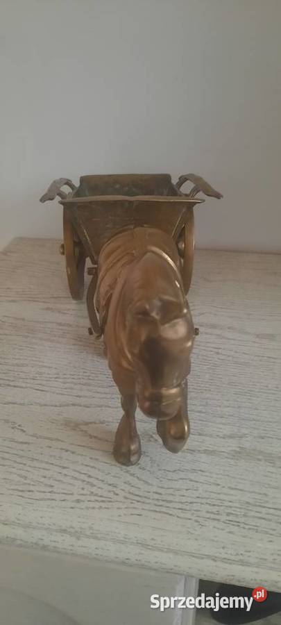 Kon z mosiadzu wielkopolskie