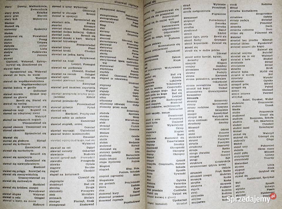 Słownik wyrazów bliskoznacznych Stanisław Chełm sprzedam