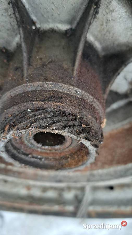 Koło Junak Pozostałe Wola Radziszowska