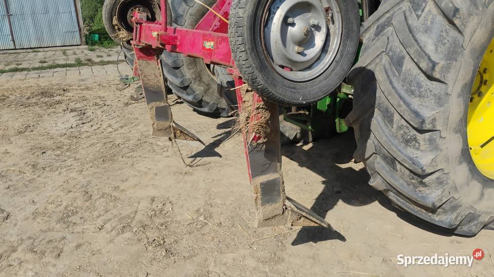 Głębosz Plesewo sprzedam