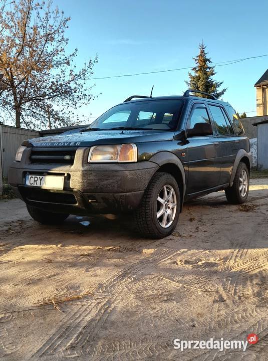 Land rover freelander Rypin