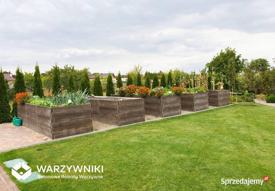Warzywnik betonowy Skrzynia na warzywa Rabata Górno sprzedam