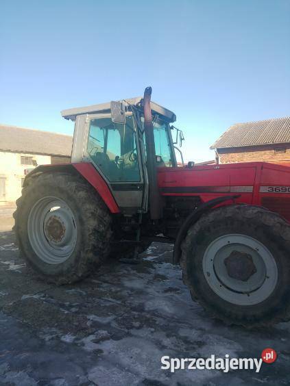 Massey Ferguson 3690 Grabów