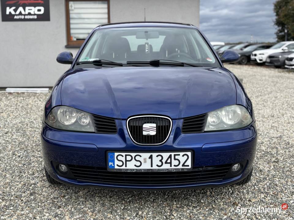 Seat Ibiza Paniówki
