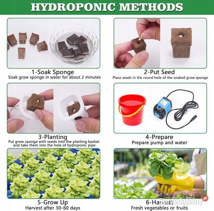 ZESTAW DO UPRAWY HYDROPONICZNEJ 108 OTWORÓW mazowieckie