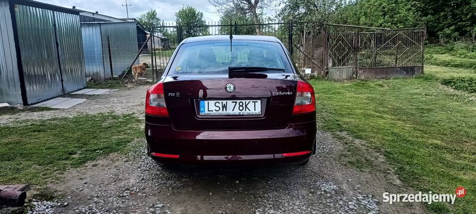 Skoda Octavia 14 TSI Benzyna Krajowy 176 500 aluminiowe felgi Stryjno-Kolonia