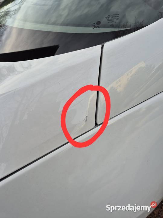 Renault Scenic III 16 dCi wersja Bose 2014 Żywiec