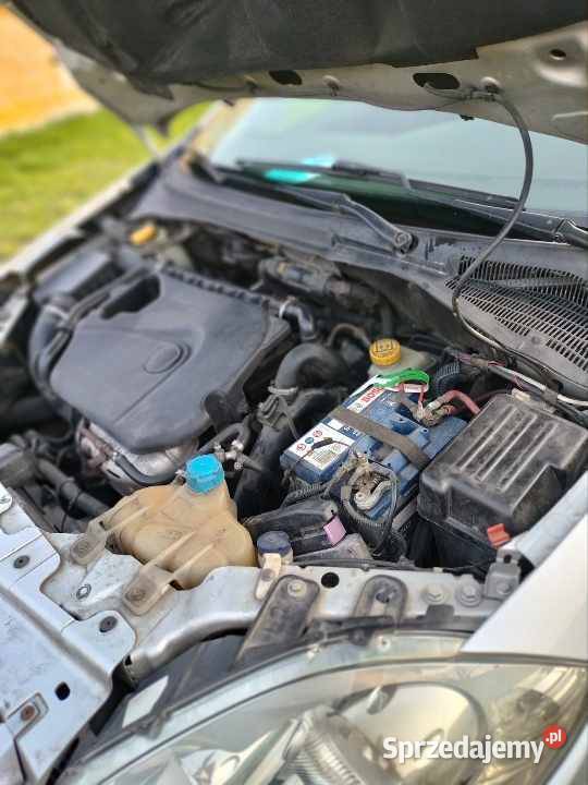 Fiat Linea Limited Edition TurdePologne Linea Jeziorno