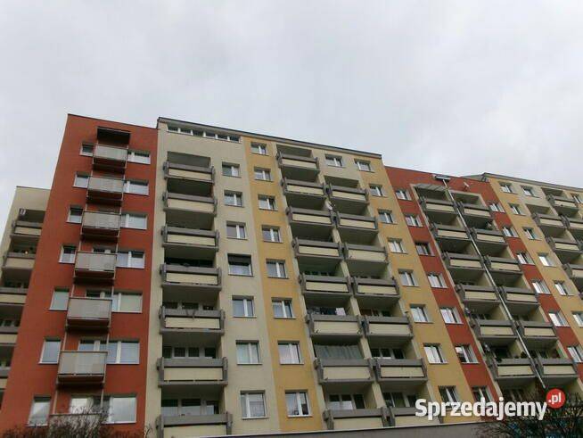 3pok 59met Bulw Ikara LOGGIAPIWNICAWINDA Wrocław