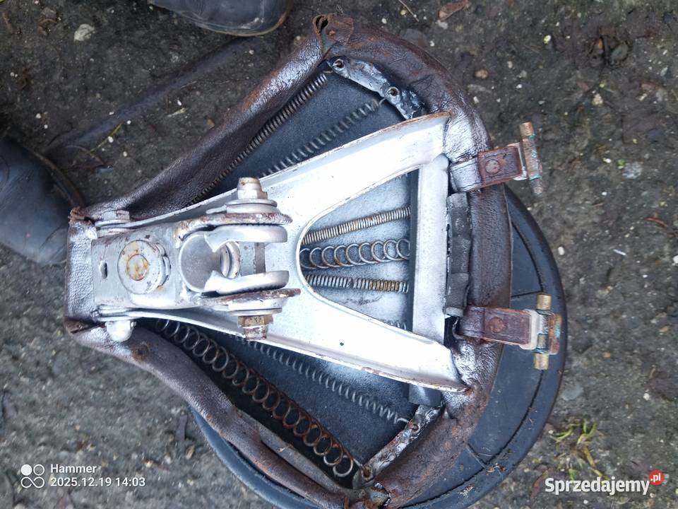 Komar sztywniak DKWNSU Wierzchosławice sprzedam