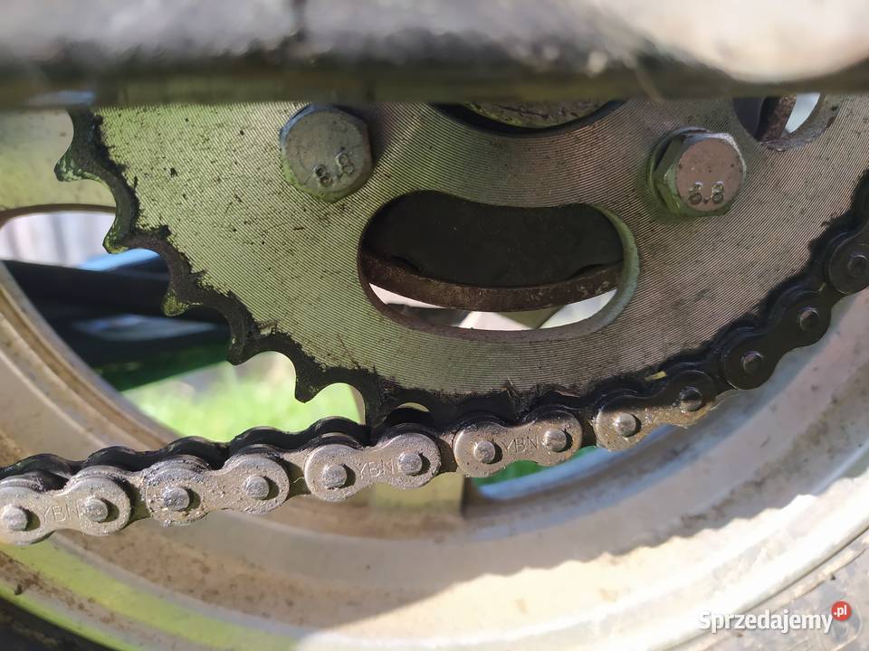 Łoś Kingway Chopper 12550 Strzyżów