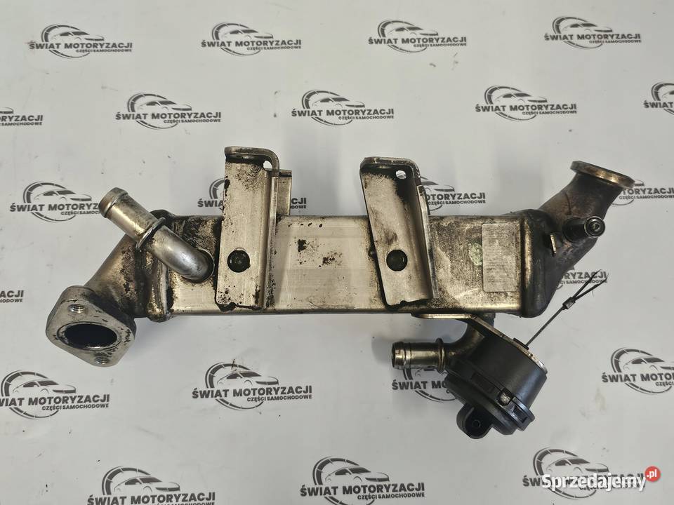NISSAN XTRAIL KOLEOS 20 DCI M9R833 4X4 Recyrkulacja spalin EGR