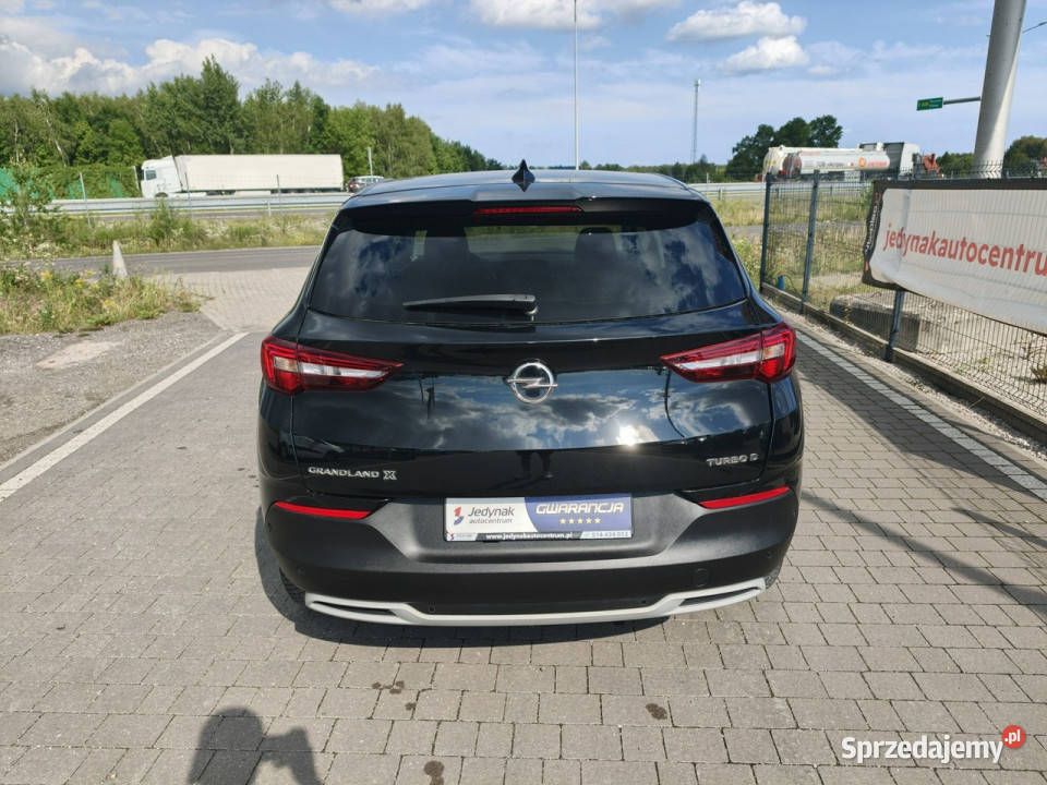 Opel Grandland X ASR (kontrola trakcji) Grandland X Lipówki