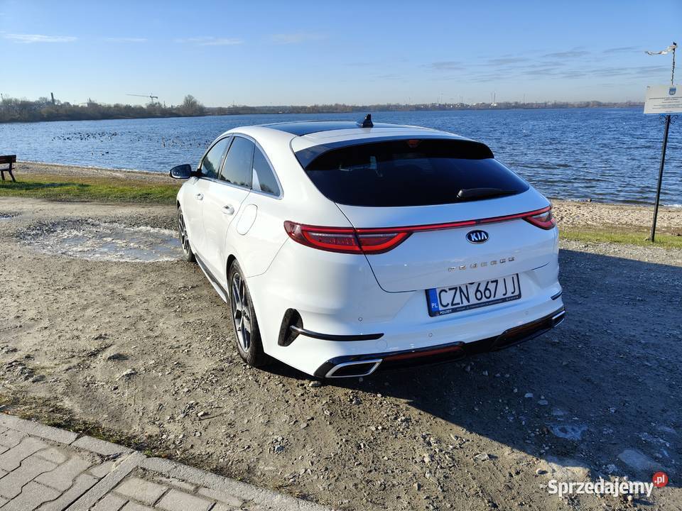 Kia proceed kujawsko-pomorskie Żnin