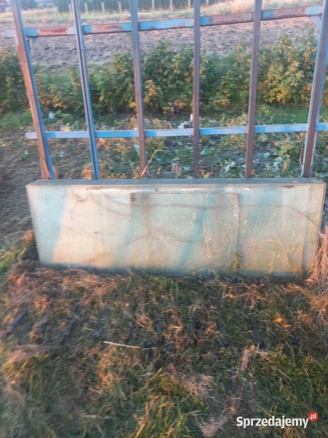 Szklarnia ogrodowa 6x4 m Tunele i szklarnie Jerzmanowice