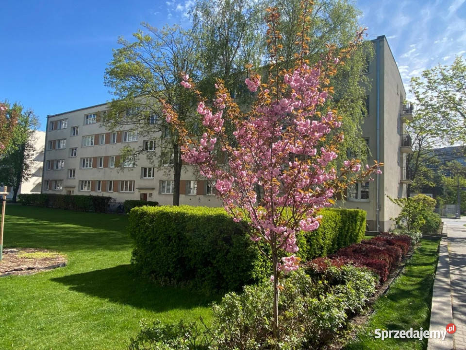 Mieszkanie remoncie w super lokalizacji balkon Poznań