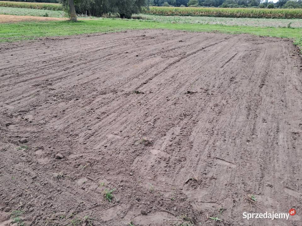 Włóka polowa mazowieckie Stare Bulkowo