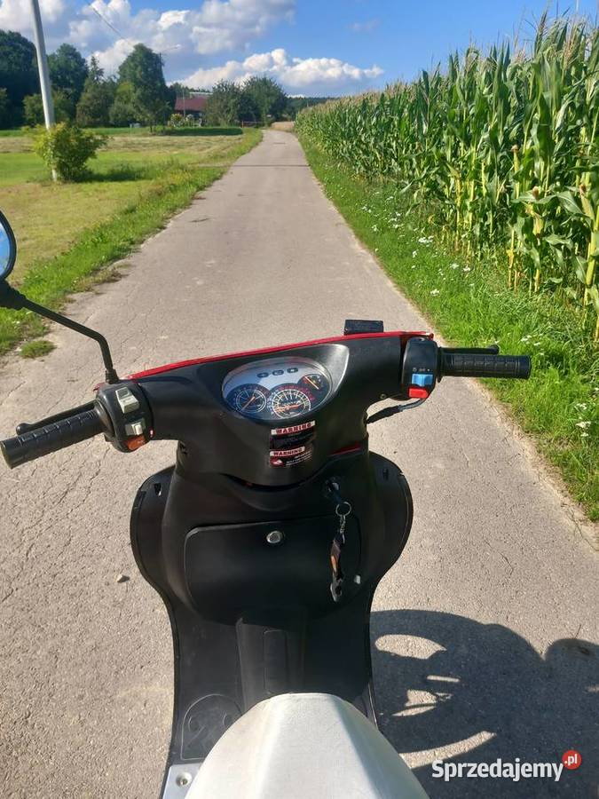 Skuter kingway koyot 80 Piotrów-Gułaczów