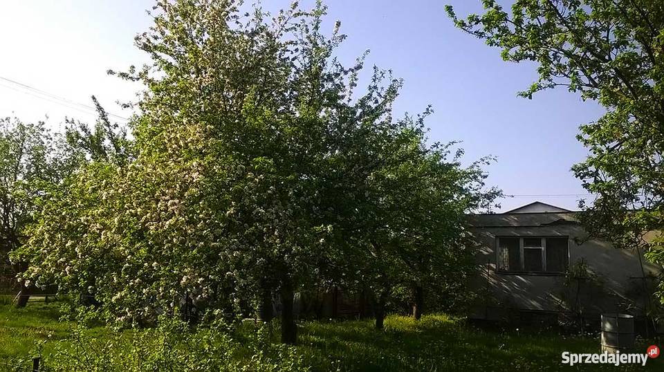 Sprzedam działkę ROD na Smochowicach w Poznaniu Poznań