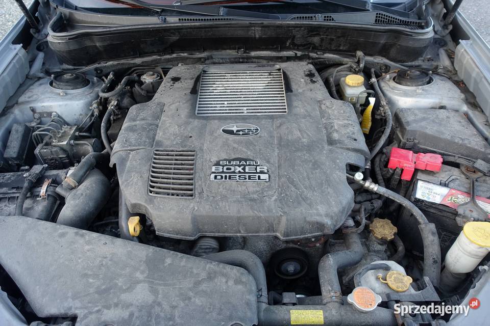 Subaru Forester 20D 147 4x4 AWD Klima KSerwisowa immobilizer Forester Buczkowice