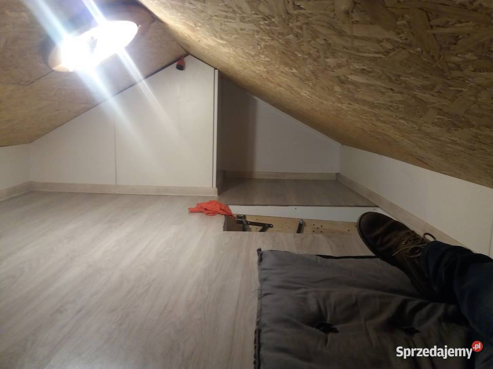 Działka ROD Warszawa Paluch Krokus 283zł/m2 mazowieckie Raszyn