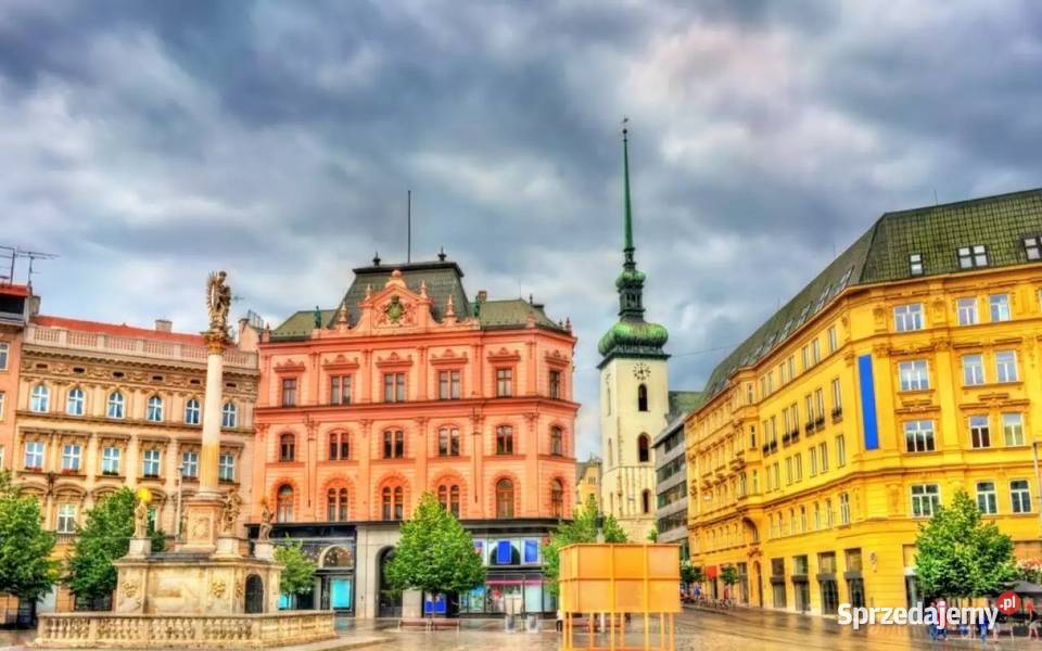 W SERCU MORAW OŁOMUNIEC BRNO I MORAWSKI KRAS Nowy Sącz sprzedam