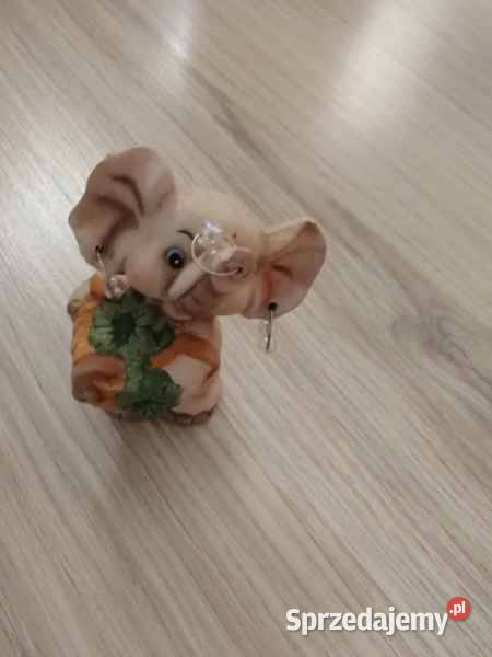 Słonik Nidzica sprzedam